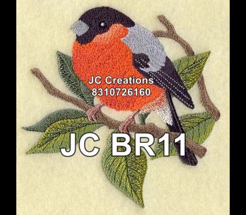 JCBR11